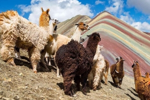 Cusco, Montagna Arcobaleno e Machu Picchu - Tour di 4 giorni