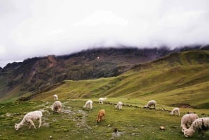 Cusco: Montanha Arco-Íris e Vale Vermelho com Guia e Refeições