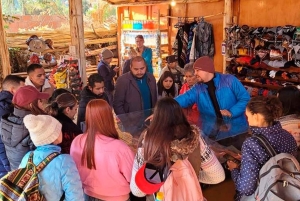 Cusco: Rainbow Mountain & Red Valley tour with Meals