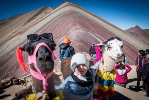Cusco: Rainbow Mountain Tour og vandring i Den røde dalen (valgfritt)