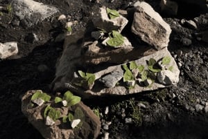 Cusco: Tur til regnbuebjerget og åndelig forbindelse til Andesbjergene