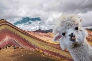 Cusco: Rainbow Mountain Transportation and Guided Hike
