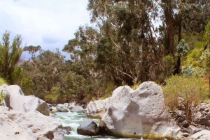 Куско: Приключенческий сплав по реке на целый день | Экстремальный тур