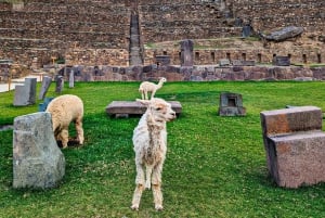 クスコ：セイクリッド バレー ピサク、オリャンタイタンボ、チンチェロ ランチ付き