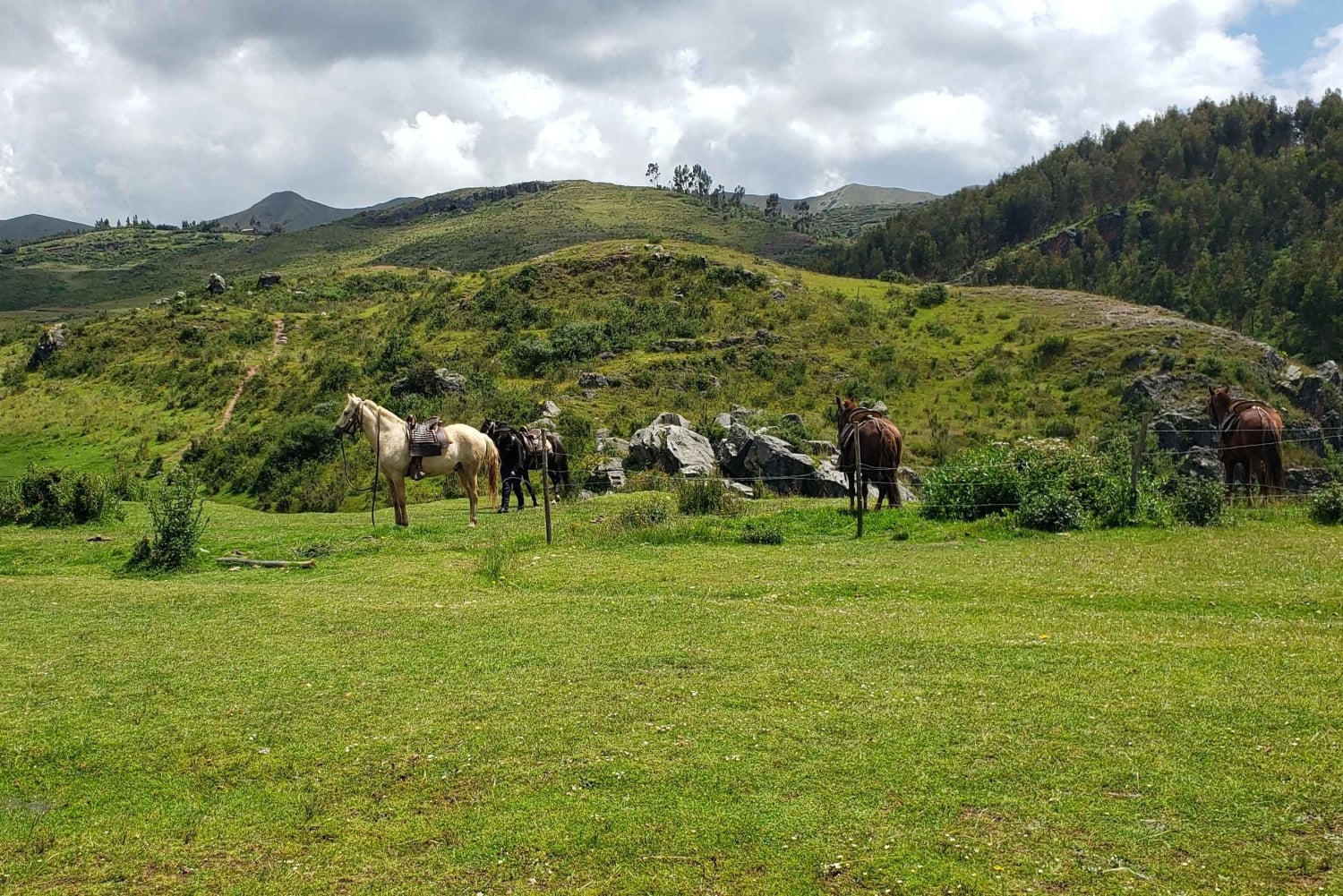 Cusco: Sacsayhuaman Guided Tour and 1-Hour Horseback Ride