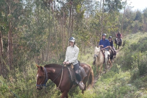 Cusco: Sacsayhuaman Guided Tour and 1-Hour Horseback Ride