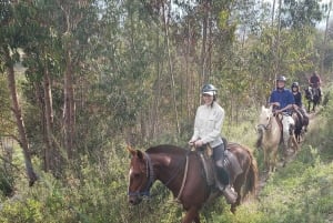 Cusco: Sacsayhuaman Guided Tour and 1-Hour Horseback Ride