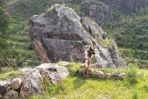 Cusco: Sacsayhuaman Guided Tour and 1-Hour Horseback Ride