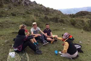 Cusco: San Pedro or Wachuma Spiritual Tour | Full Day