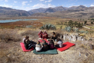 Cusco: San Pedro or Wachuma Spiritual Tour | Full Day