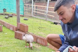 Cusco: Dyreparkstur med reddede dyr