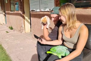 Cusco: Dyreparkstur med reddede dyr