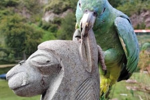 Cusco: Dyreparkstur med reddede dyr