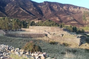 Cusco: Sightseeing-Tour durch die Stadt in einem offenen Bus