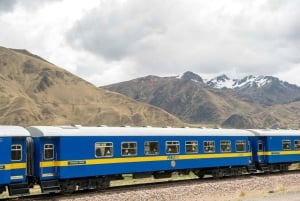 Cusco: Titicaca-tåg till Puno med lunch och levande musik