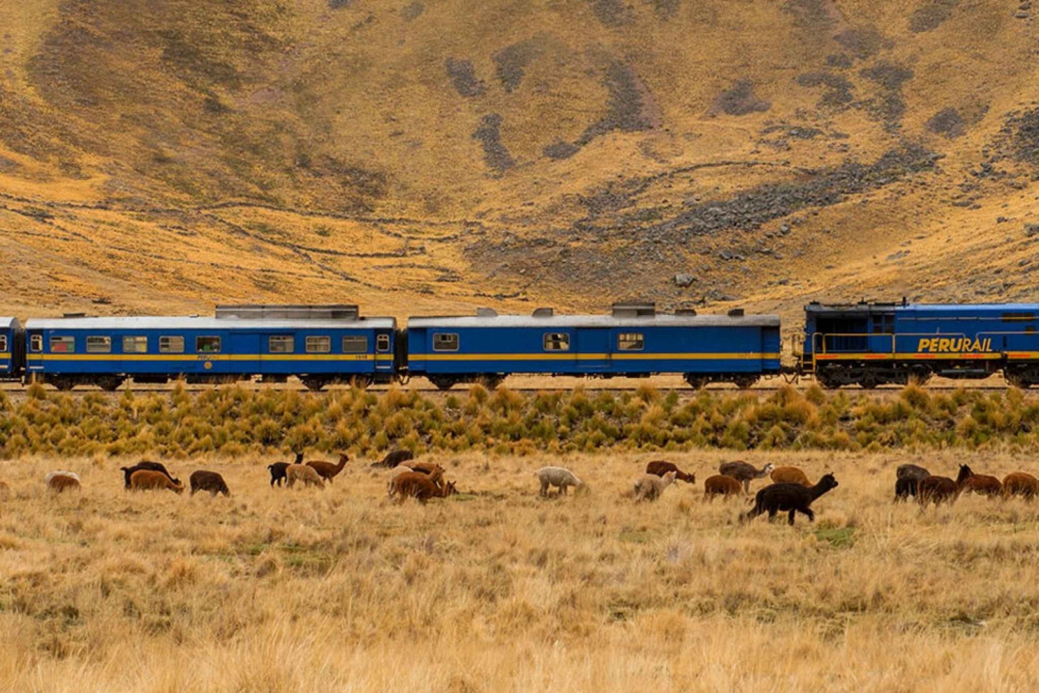 Cusco to Puno 1 day by train