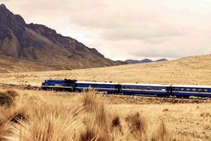 Cusco to Puno 1 day by train