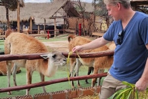 Cusco: Alpaka- og lama-gårdstur med transfer og vævedemo