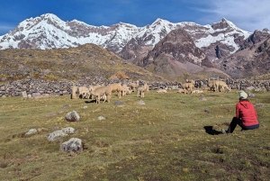 Cusco:Upiscocha Lake & Hot Spring Full Day Private|Ausangate