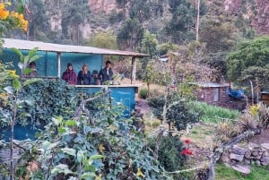 Cusco: besøk kolibriens natur og et herberge for ville dyr