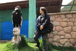 Cusco: besøk kolibriens natur og et herberge for ville dyr