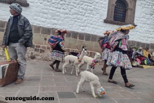 Gratis byvandring i Cusco: centrum, San Blas og de bedste udsigter