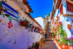 クスコ：経験豊富な現地ガイド付きウォーキングツアー