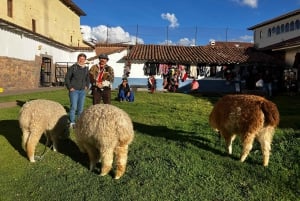 Cusco: Rundvandring med VR-upplevelse