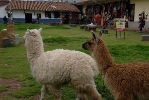 Cusco: Rundvandring med VR-upplevelse