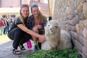 Cusco: Rundvandring med VR-upplevelse