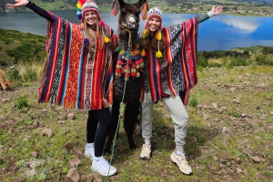 Cuzco: Paseo por la naturaleza con alpacas y llamas.