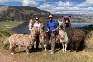 Cuzco: Paseo por la naturaleza con alpacas y llamas.