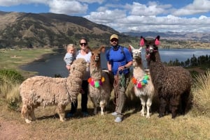 Куско: прогулка на природе с альпаками и ламами.