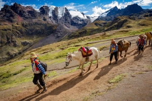 Cuzco:Rainbow Mountain Tour+Desayuno, Almuerzo y Valle Rojo