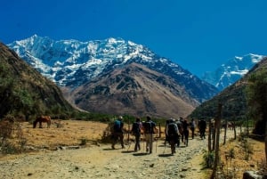 Cuzco: Salkantay Trek 5-dages ekspedition til Machu Picchu i Andesbjergene