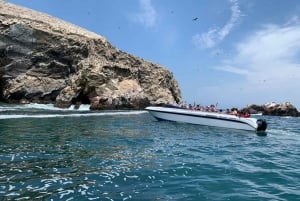 Tour di mezza giornata: Isole Ballestas e Riserva Naturale di Paracas