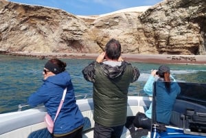 Halvdagstur: Ballestasøyene og Paracas naturreservat