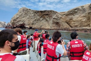 Halvdagstur: Ballestas-øerne og Paracas naturreservat