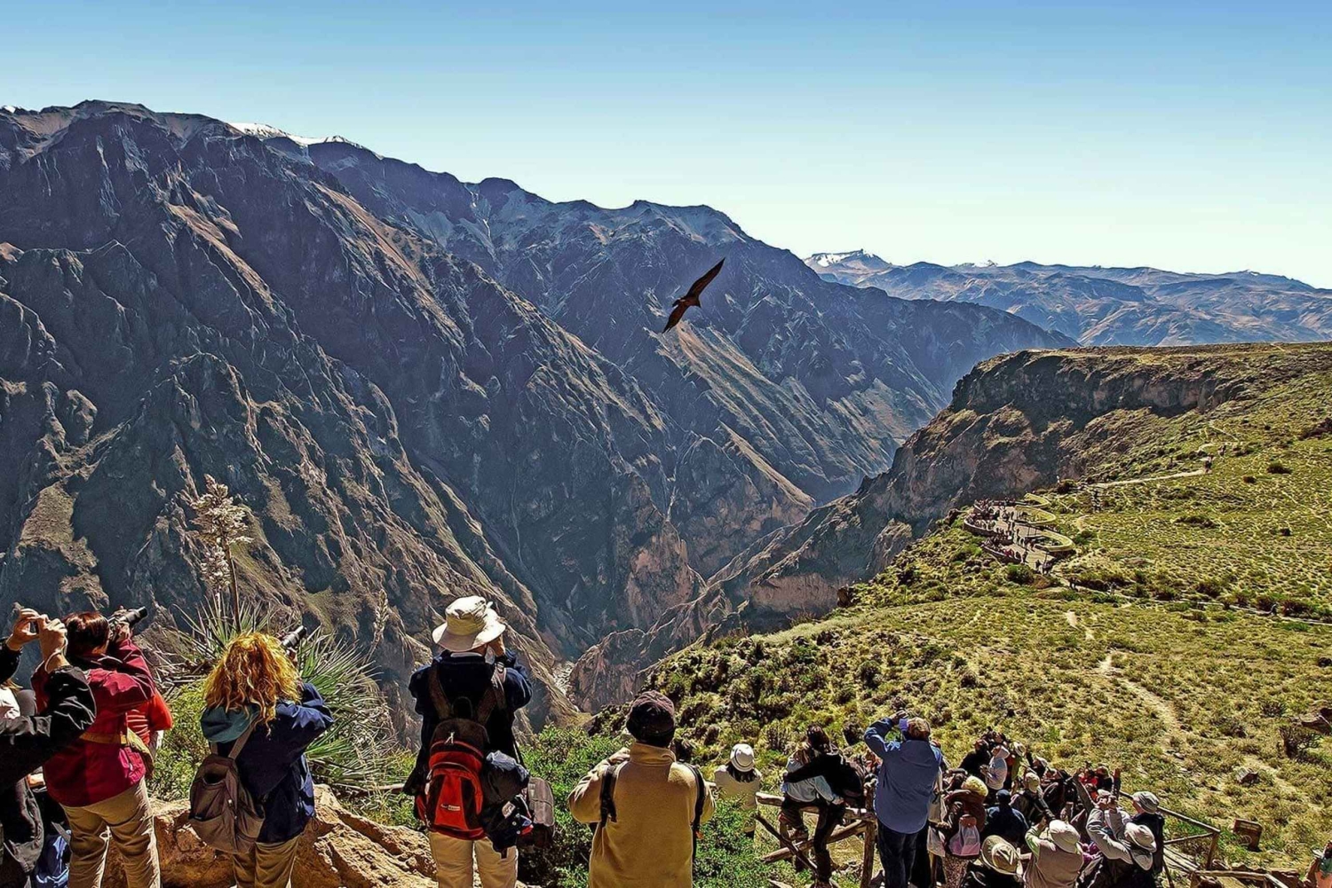 Day trip to Colca Canyon in Arequipa, leaving at 6:00 a.m.