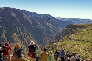 Day trip to Colca Canyon in Arequipa, leaving at 6:00 a.m.