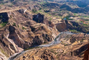 Day trip to Colca Canyon in Arequipa, leaving at 6:00 a.m.