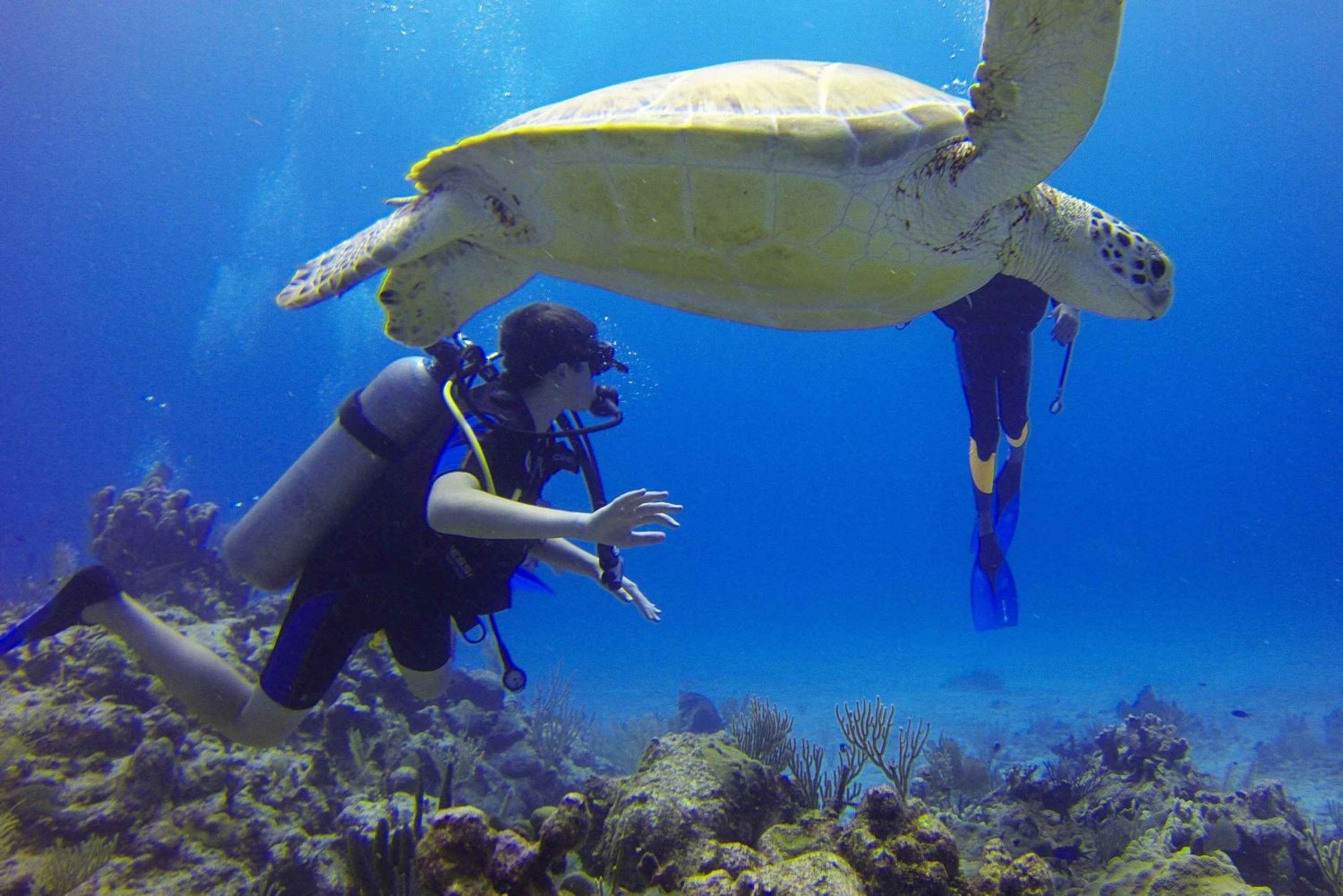 Deep Dive Discovery - Plongée sous-marine à Paracas