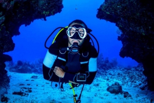 Paracas: Scuba Diving - Dive Discovery