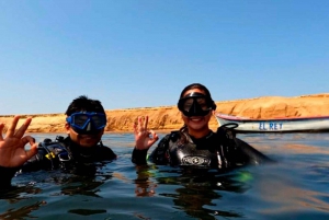 Paracas: Scuba Diving - Dive Discovery