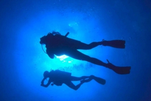 Paracas: Scuba Diving - Dive Discovery