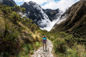 From Cusco: Inca Trail 4 days 3 nights to Machu Picchu