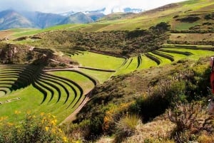 Fra Cusco: Moray Salinas de Maras og Tejedores de Chinchero