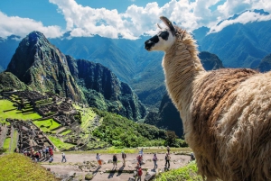 Desde Cusco: Tour Valle Sagrado y Camino Inca corto 4D/3N