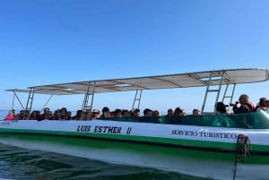 DESDE LIMA: DÍA COMPLETO PARACAS - ICA