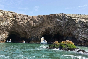 DESDE LIMA: DÍA COMPLETO PARACAS - ICA